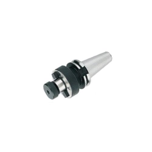 ISCA-4501531