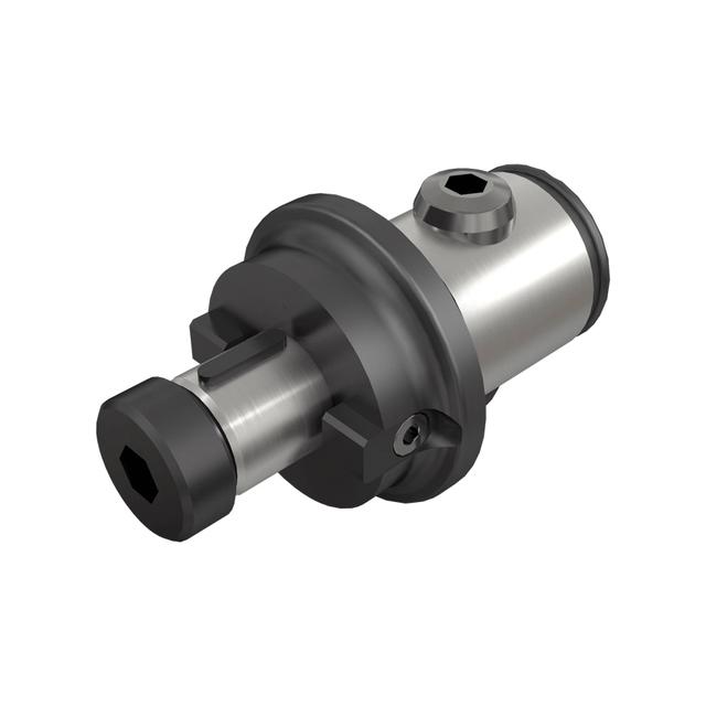 ISCA-IS4550213