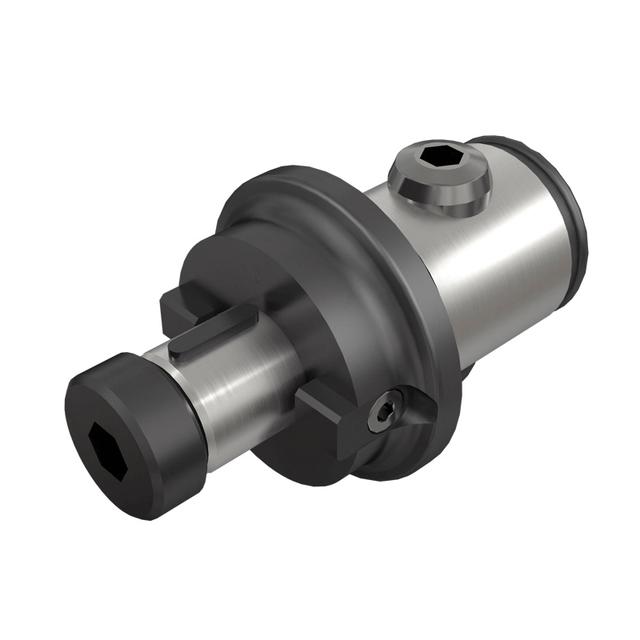 ISCA-IS4550215