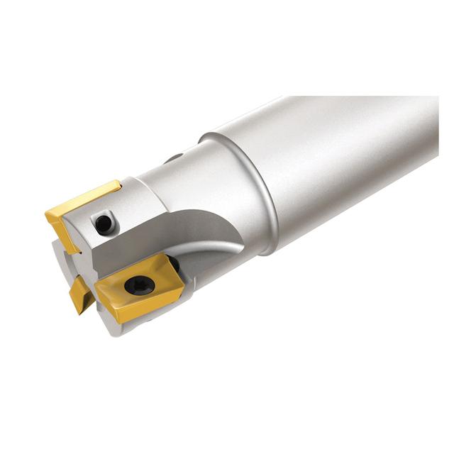 ISCA-3101743