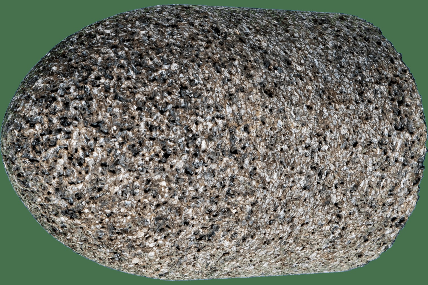 PFER-61829