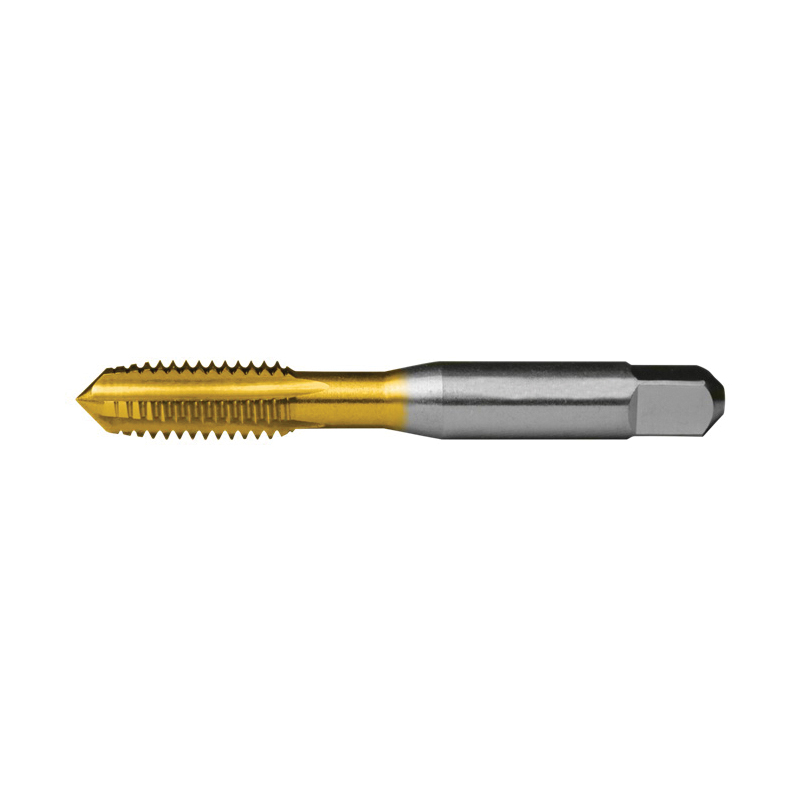 CLEC-55152