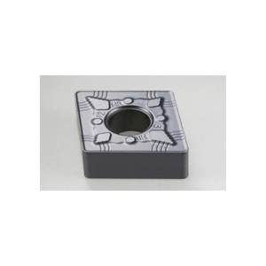 ISCA-5504872