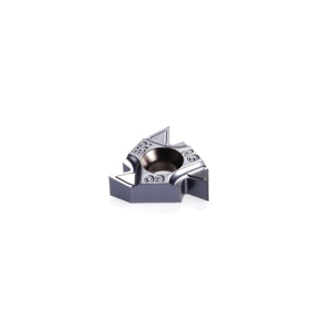 ISCA-5920009