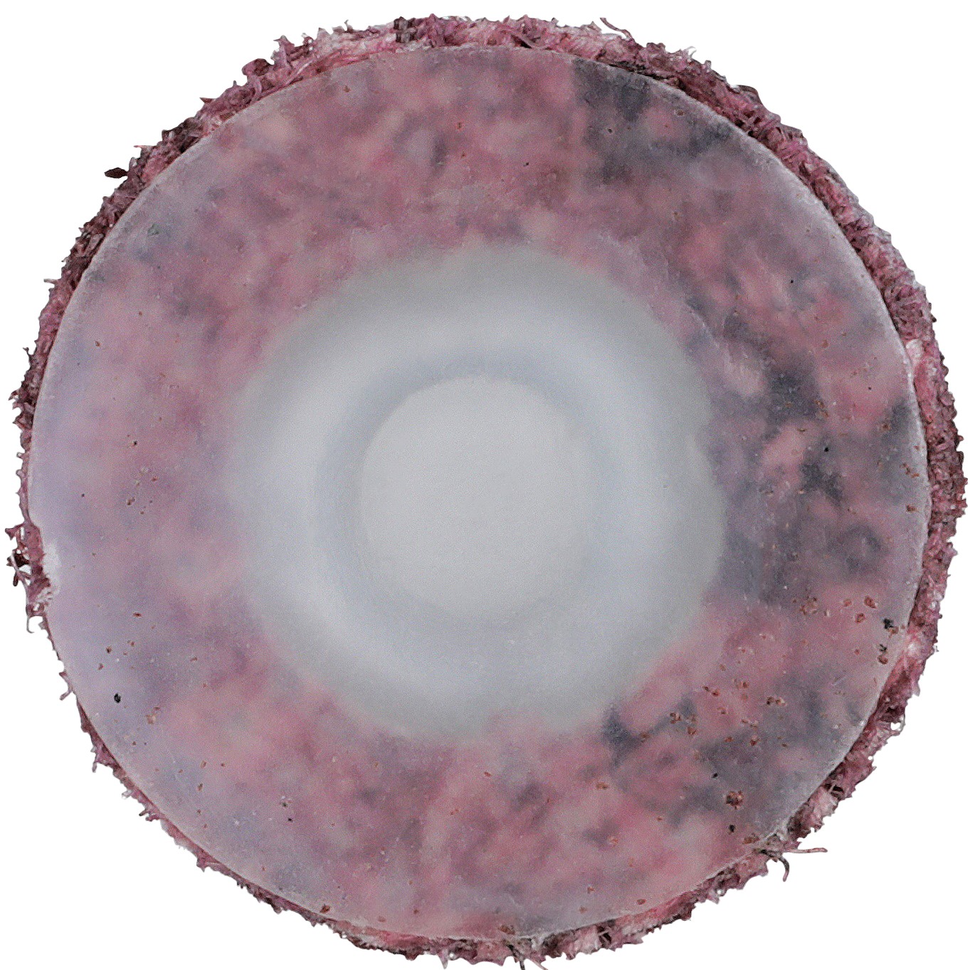 Disque de traitement des surfaces Roloc(MC) Scotch-Brite(MC), A MOYEN, TS, 1,91 cm x ST (3/4 po x ST)