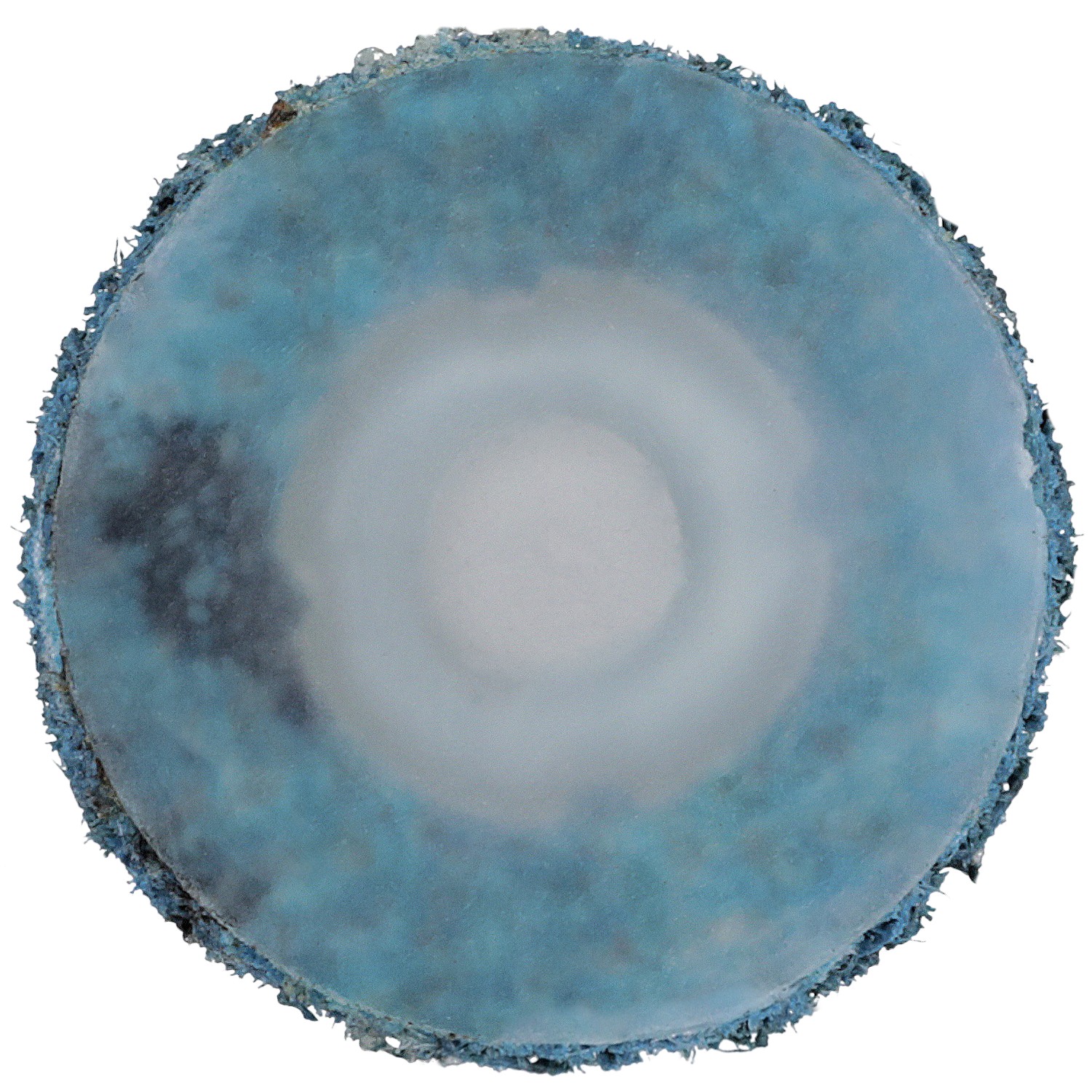 Scotch-Brite™ Roloc™ Surface Conditioning Disc, SC-DS, A/O Very Fine, TS, 3/4 in (1.91 cm), reverse button