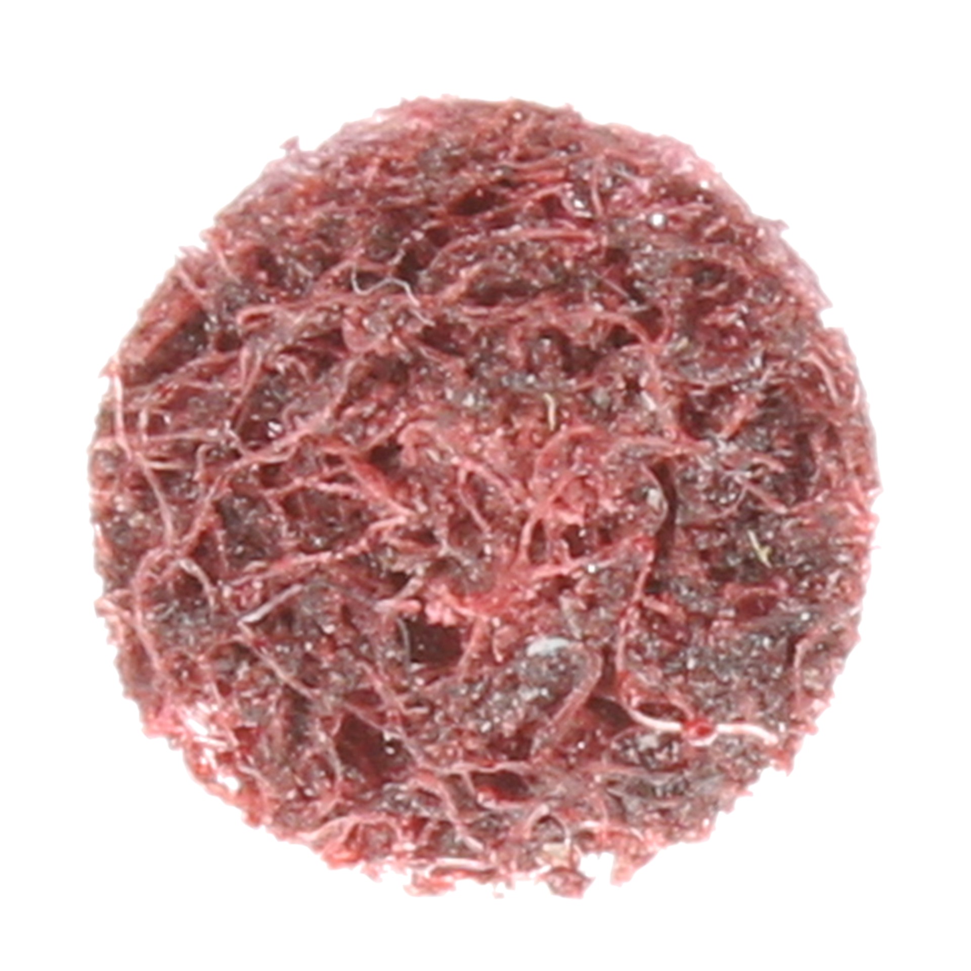 Disque de traitement des surfaces Scotch-Brite(MC), SC-DH, MOYEN, 1,27 x 0,32 cm (1/2 x 1/8 po)