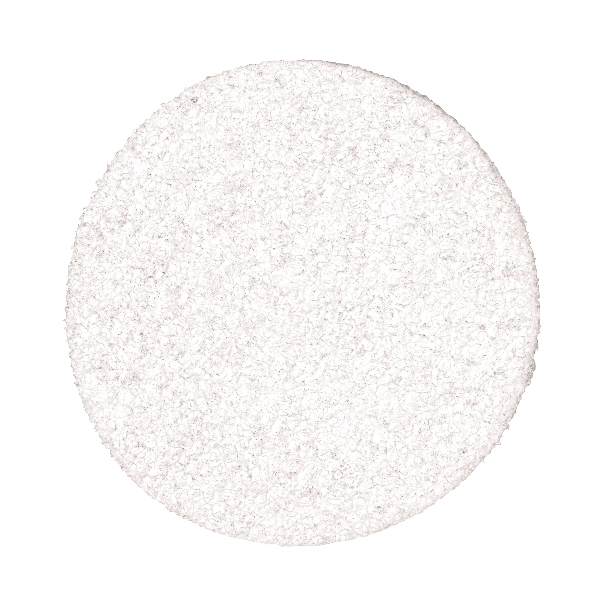 Disque de nettoyage et de finition Scotch-Brite(MC), CF-DC, Type T, 12,7 cm x ST (5 po x ST)