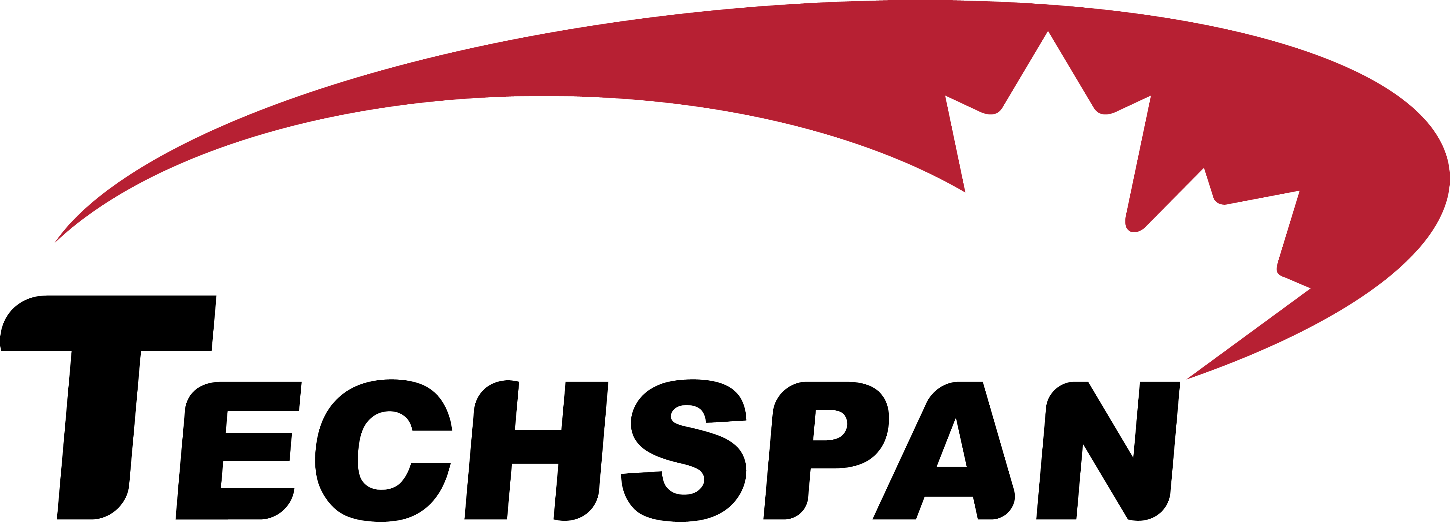 Techspan